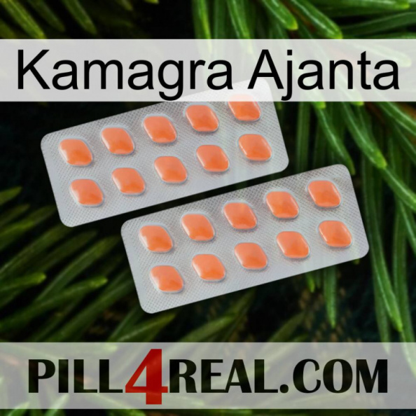 Kamagra Ajanta 27.jpg